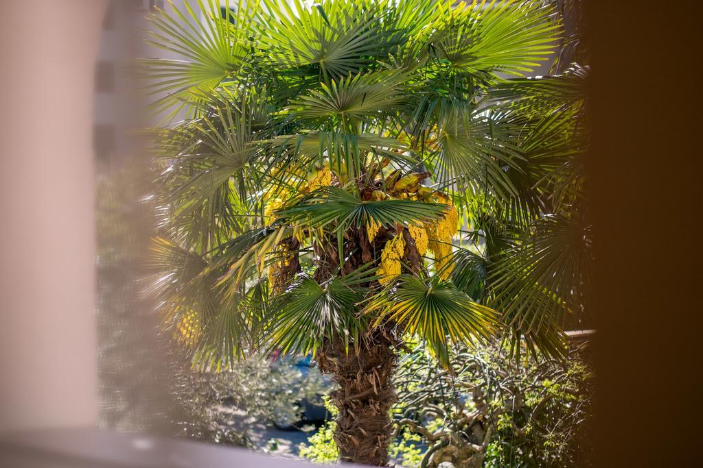 מאלינסקה Villa Palma מראה חיצוני תמונה